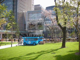 garden2.JPG